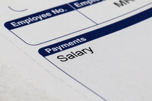 PSIber: Payslip Customisation